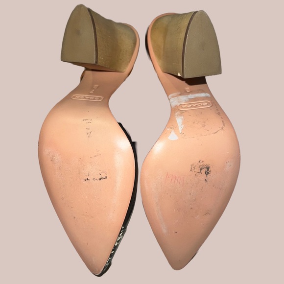 COACH Frankie Wood Block Heels w/ Snakeskin - Picture 5 of 6